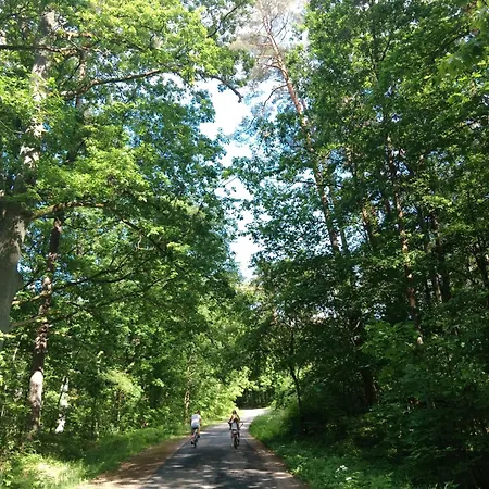 Domek Lesny Zakatek Z Klimatyzacja Bartel Wielki Exterior photo