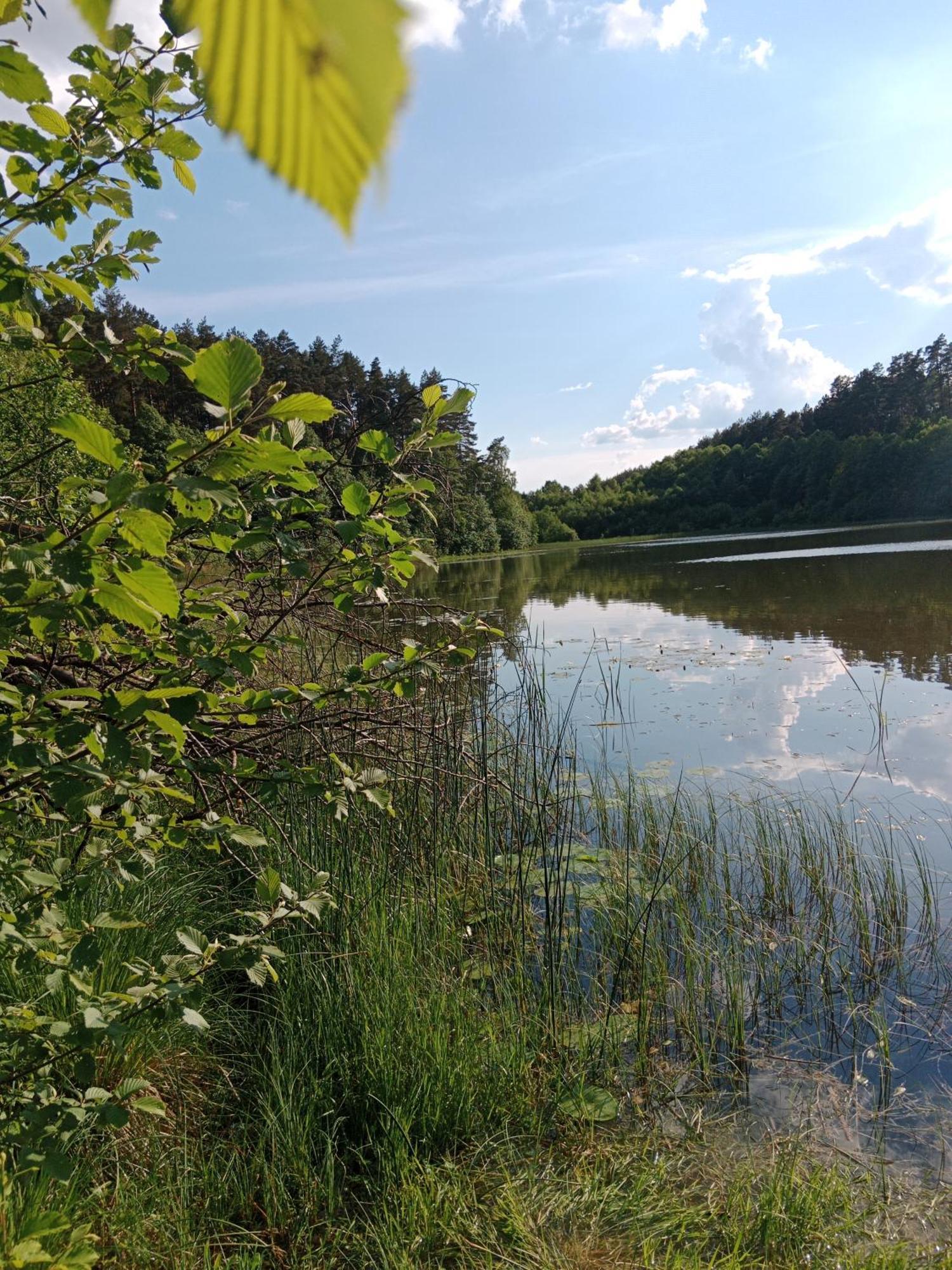 Lesny Zakatek Z Klimatyzacja Holiday home